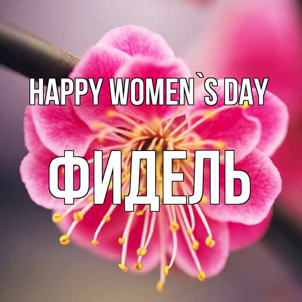 Greetings card с именем, Фидель happy women`s day цветы Greetings with text for free download 